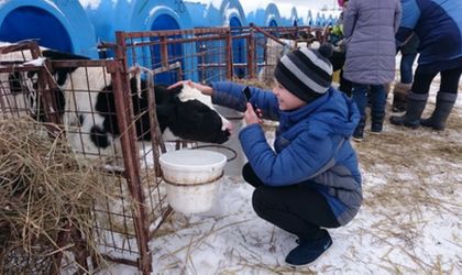 Экскурсия на молочно-товарную ферму в деревне Асеньевское.